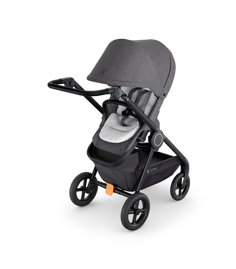 stroller with newborn insert